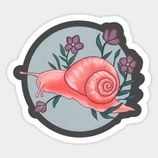 Coral Snail Sticker